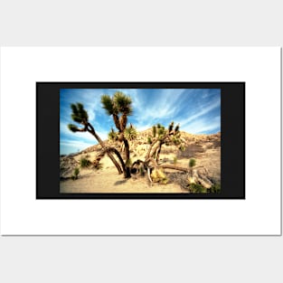 Joshua Trees Posters and Art